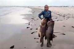 Ο Έλληνας ψαροντουφεκάς με το ρεκόρ τσιπούρας ξαναχτύπησε: Δείτε τι έβγαλε στο Μεξικό