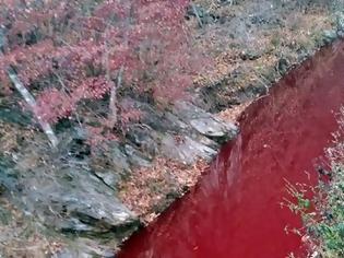 Φωτογραφία για Νότια Κορέα: Κοκκίνισε ποταμός από το αίμα σφαγμένων