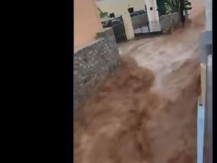 Φωτογραφία για Βίντεο που κόβει την ανάσα από τη Σύμη: Ο «Γηρυόνης» μετέτρεψε τους δρόμους σε ορμητικούς χειμάρρους