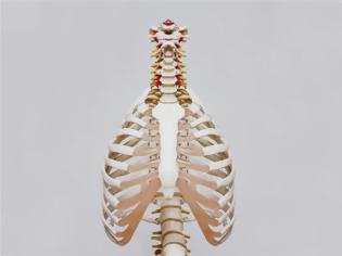 Φωτογραφία για Οστεοπόρωση: «Χτίστε» σωστά τον σκελετό σας - Ήξερες, άραγε, ότι ο φόβος...