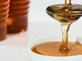 Φωτογραφία για Σημαντικές οι προοπτικές για το μέλι και την βιομηχανική και φαρμακευτική κάνναβη