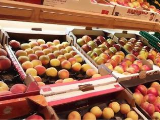 Φωτογραφία για Απατεώνες άρπαξαν 18 τόνους φρούτα αξίας 12.500 ευρώ