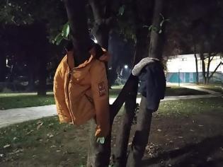 Φωτογραφία για Έδεσσα: Στολίζουν δέντρα με μπουφάν για να μην είναι κανείς μόνος στο κρύο