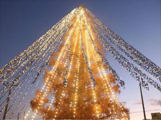 Φωτογραφία για Ρεκόρ Γκίνες για χριστουγεννιάτικο δέντρο με 51.626 κάρτες μηνυμάτων