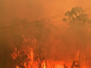 Φωτογραφία για Αυστραλία: Χιλιάδες εκτάρια καμμένα, νεκροί πυροσβέστες και ο πρωθυπουργός έκανε διακοπές