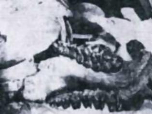 Φωτογραφία για Αποδείξεις για τον Κατακλυσμό του Δευκαλίωνα, το 1925…