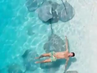 Φωτογραφία για Θαρραλέος τουρίστας κολυμπάει ανάμεσα σε κοπάδι