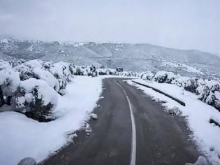 Φωτογραφία για Καλλάνος Θα χιονίσει στην Εθνική Αθηνών Λαμίας από την Παρασκευή το βράδυ