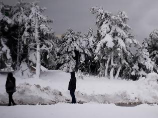 Φωτογραφία για Καιρός - Κλέαρχος Μαρουσάκης: Έρχονται δύσκολες μέρες - Παγετός και χιόνια τα Θεοφάνια
