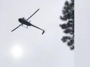 Φωτογραφία για Πέταξαν γουρούνι από ελικόπτερο σε πισίνα εκατομμυριούχου –Και αυτός το έψησε (ΒΙΝΤΕΟ)
