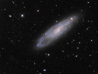 Φωτογραφία για NGC 247 and Friends