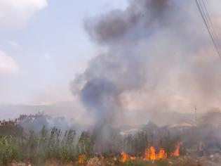 Φωτογραφία για 11 αγόρια κάηκαν ζωντανά ενώ κυνηγούσαν κουνέλια σε φυτεία με ζαχαροκάλαμα