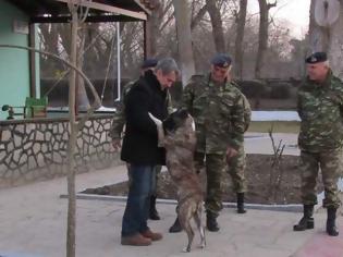 Φωτογραφία για Έλληνες στρατιώτες υιοθέτησαν σκύλο που είχε κακοποιηθεί σε τουρκικό φυλάκιο