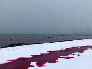 Φωτογραφία για ΒΙΝΤΕΟ.Συγκλονιστικό θέαμα: «Μάτωσε» η θάλασσα στο Καζακστάν
