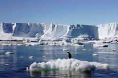 Κλιματική αλλαγή: Η θερμοκρασία στην Ανταρκτική πάνω από 20 βαθμούς Κελσίου