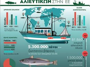 Φωτογραφία για Ελληνικά αλιευτικά: Ο μεγαλύτερος στόλος στην Ευρώπη