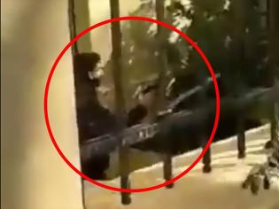 Φωτογραφία για ΑΣΟΕΕ: Ειδικός φρουρός τράβηξε όπλο μέσα στο πανεπιστήμιο - Δέχθηκε επίθεση από 30 άτομα, λέει η ΕΛΑΣ