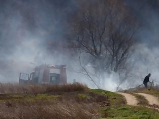 Φωτογραφία για Έβρος: Μετανάστες έβαλαν φωτιά σε δασική έκταση στο χωριό Στέρνα και στο Νεοχώρι