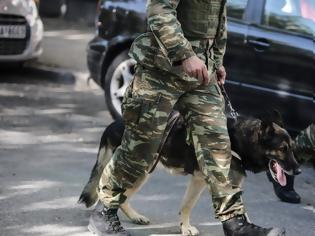 Φωτογραφία για «Θωρακίζονται» ακόμα και με στρατιωτικούς σκύλους - Αυξημένη εγρήγορση στο Καστελόριζο