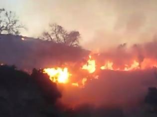 Φωτογραφία για Λασίθι: Πυρκαγιά σε δασική έκταση - Κάηκαν πάνω από 70 στρέμματα!