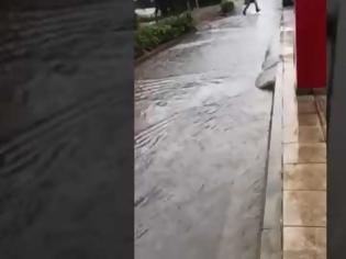 Φωτογραφία για Πλημμύρισαν οι δρόμοι στο Μαρούσι από την κακοκαιρία - βίντεο
