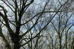 Απείθαρχοι οι Βρετανοί στα νέα μέτρα, έκαναν μπάρμπεκιου σε πάρκα!