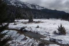 Χιονίζει από χθες το βράδυ στο Πήλιο