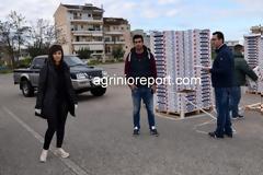 Δωρεάν  ένα τόνο φράουλες και στο π. Δήμο Μεδεώνος με πρωτοβουλία της Περιφέρειας Δυτ. Ελλάδος