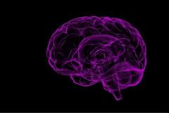 Σύστημα τεχνητής νοημοσύνης «μεταφράζει» αυτόματα σε προτάσεις την εγκεφαλική δραστηριότητα ανθρώπων!