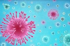 COVID-19: Ιστορική αναδρομή