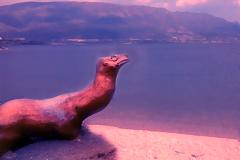 ΕΚΤΑΚΤΟ: Θαλάσσιο «Τέρας» εμφανίστηκε στη λίμνη Αμβρακία !!