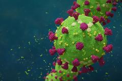 Πώς μεταδίδεται ο κορονοϊός στο σώμα