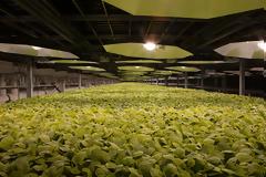 Ανάπτυξη πιθανού εμβολίου για τον κοροναϊό με πρωτοποριακή μέθοδο από την British American Tobacco