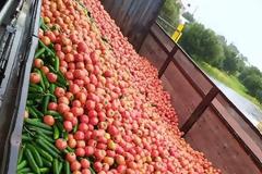 Πετάχτηκαν 200.000 κιλά λαχανικά στην Κρήτη