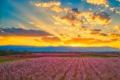 Πρωταπριλιά: Γιατί λέμε ψέματα