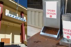 ΔΗΜΟΣ ΞΗΡΟΜΕΡΟΥ: Πρόσκληση- γνωστοποίηση για προμήθεια ταϊστρών, ποτιστών και ζωοτροφών για τα αδέσποτα ζώα!