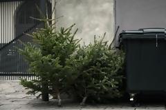 Από καναπέδες, μπετά έως ...χριστουγεννιάτικα δέντρα πετούν στους κάδους