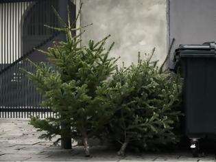 Φωτογραφία για Από καναπέδες, μπετά έως ...χριστουγεννιάτικα δέντρα πετούν στους κάδους