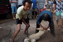 Η Σεντζέν απαγορεύει με «ιστορική απόφαση» την κατανάλωση γατιών και σκύλων