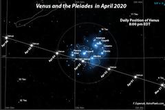 Venus and the Pleiades in April