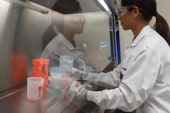 Μάχη για την αντιμετώπιση του ιού - Οι βασικότερες πιθανές θεραπείες