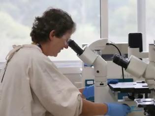 Φωτογραφία για Αρχίζουν προκλινικές δοκιμές για δύο εμβόλια κατά του κοροναϊού  στην Αυστραλία