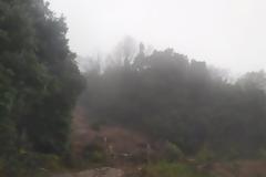 Πήλιο: Έγκυος σώθηκε χάρη στην άμεση επέμβαση της Πολιτείας