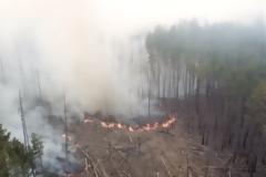 Τσέρνομπιλ: Το Twitter αντιδρά - «Πότε θα πέσουν οι ακρίδες;»