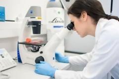 Δοκιμάστηκε με επιτυχία το φάρμακο EIDD-2801, στις ΗΠΑ