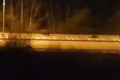 ΒΙΝΤΕΟ.Καστοριά: Αρκούδα με τα μικρά της έκανε βόλτα σε παραλίμνια περιοχή