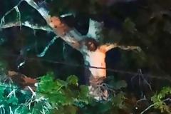 Κολομβία: Έσπασαν την καραντίνα για να προσευχηθούν σε δέντρο