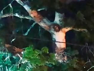Φωτογραφία για Κολομβία: Έσπασαν την καραντίνα για να προσευχηθούν σε δέντρο