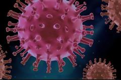 Ιοί: μάχη με το αόρατο