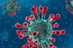 Χαμηλα λευκά (λεμφοπενία) παρουσιάζουν οι ασθενείς με κοροναϊό που κάνουν βαριά αναπνευστική ανεπάρκεια